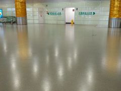 android_upload_pic-浦东1号2号航站楼(地铁站)