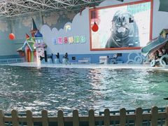 -蓬莱欧乐堡海洋极地世界