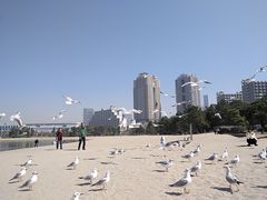 -台场海滨公园船码头