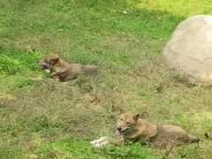 -西安秦岭野生动物园