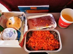 -海南海航航空信息系统公司