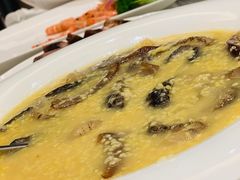 小米海参-锦江都城闵行饭店