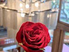 -木王宴语·野生鲜菌火锅(玉河店)