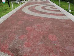 -莫子山公园