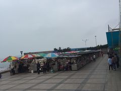 -日照灯塔风景区