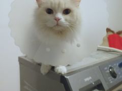 -北京博爱动物医院有限公司