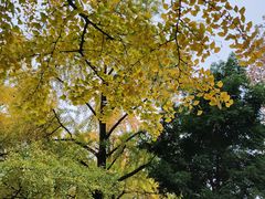 -四川大学(华西校区)