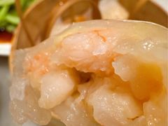 招牌虾饺皇-金鼎轩(方庄天坛店)