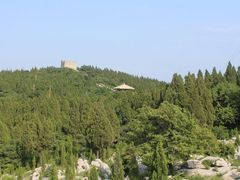 -原山国家森林公园