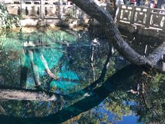 -蝴蝶泉公园