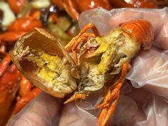 -杨氏青龙虾·羊蝎子(托乐嘉店)