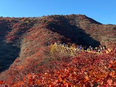 -水峪民俗村