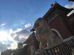 -北陵公园