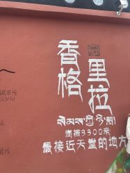 -纳帕海依拉草原