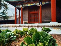 -北京市劳动人民文化宫(太庙)