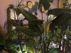 -艺水间水汇