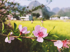 -万峰林风景区