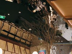 -桂满陇·海市蜃楼·黑金(国金店)