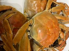 -禾斗海鲜自助(市南银座店)