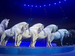 -珠海横琴长隆《卡卡虎奇遇记》