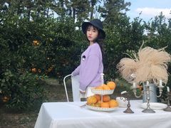 -柑橘农场