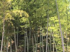 -梅岭月亮湾山体公园