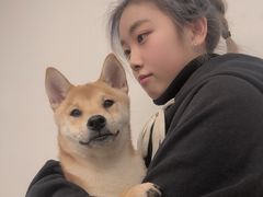 -浣熊柯尔鸭土拨鼠·电玩咖