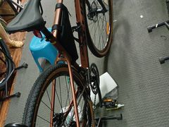 -道路口单车爱瓦士dahon大行