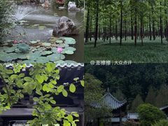 -河南省黄河迎宾馆