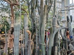 -国家植物园南园