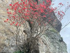 -雁荡山风景名胜区