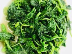 -高记惠州风味楼(惠城店)