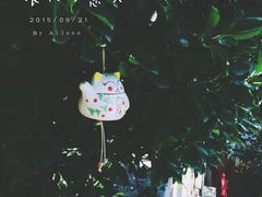iphone_upload_pic-海边的猫和咖啡馆
