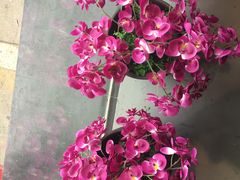 -香满园春饼·家常菜(东大桥店)