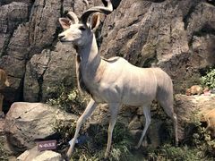 -陕西自然博物馆