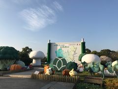 -上海都市菜园