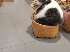 -解忧集市(北京路天河城店)