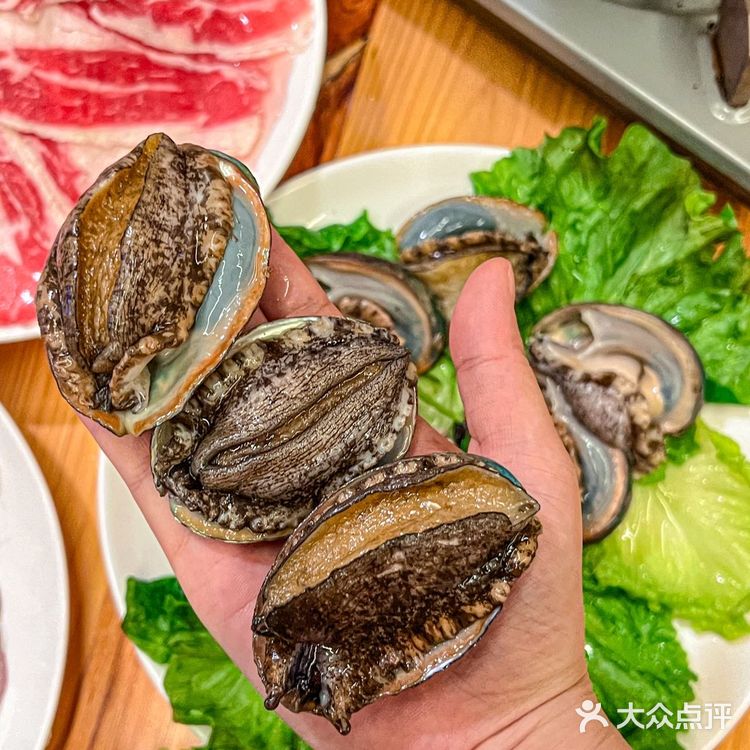 宝安的这家鸡煲吃了一次之后就真的让我难忘的不行