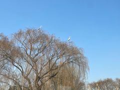 -济南大明湖景区