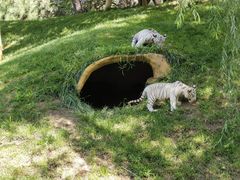 -北京野生动物园