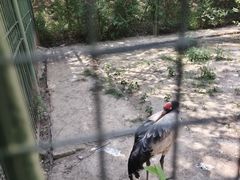 -青藏高原野生动物园