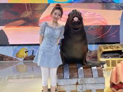 -三亚海昌梦幻海洋不夜城