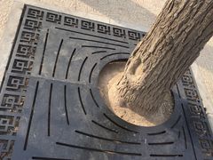 -迎泽公园