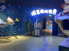 -烟台海昌鲸鲨海洋公园