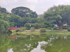 -东莞植物园