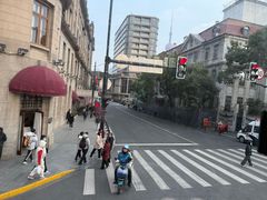 -BUS TOUR观光巴士