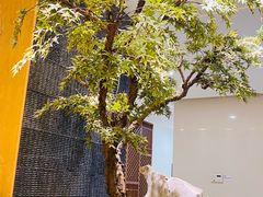 -山之川·日式料理(瀚海海尚店)