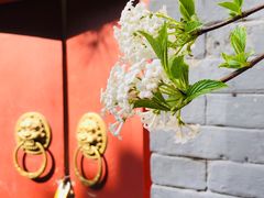 -潭柘寺景区