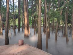 -东湖落雁景区