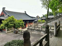 -鲁镇